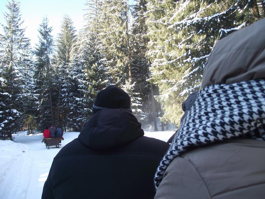 Cabana Piatra Runcului Vatra Moldoviţei 외부 사진
