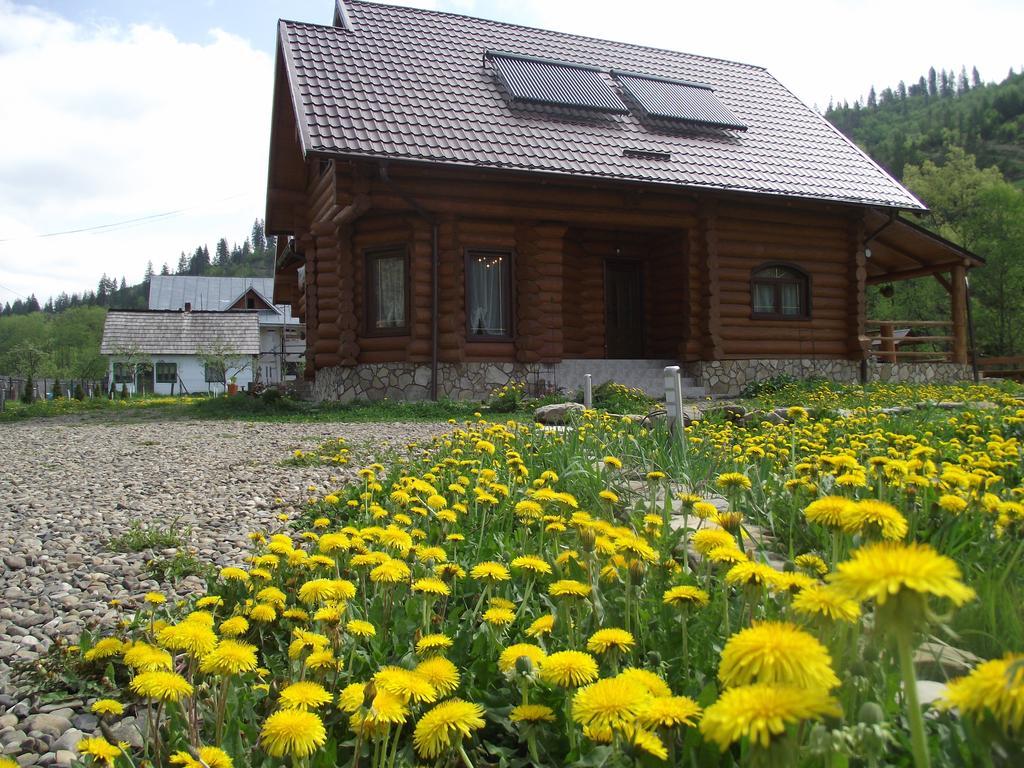 Cabana Piatra Runcului Vatra Moldoviţei 외부 사진