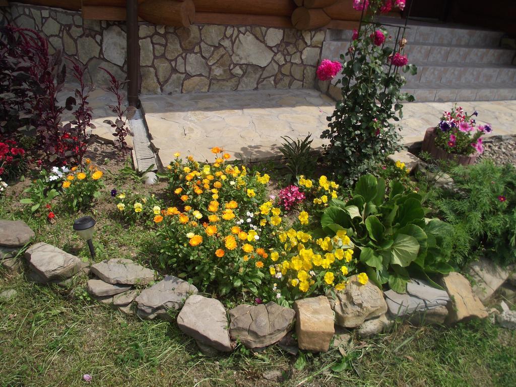 Cabana Piatra Runcului Vatra Moldoviţei 외부 사진
