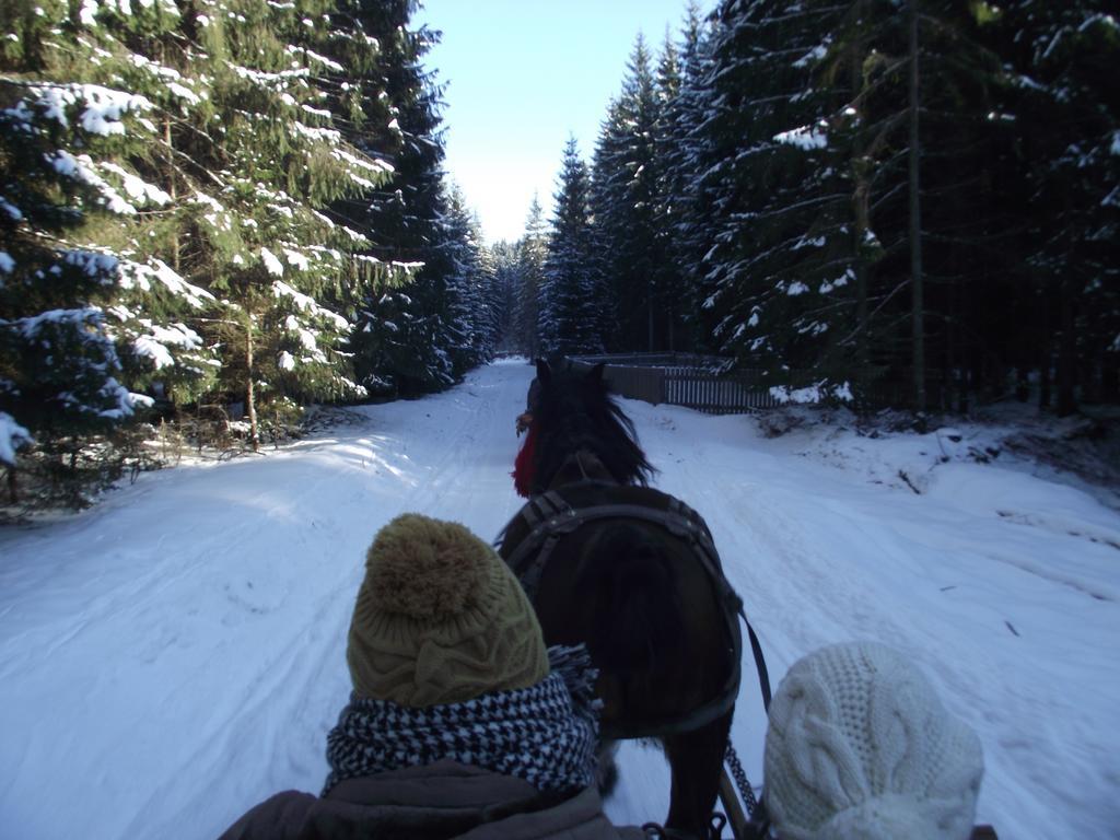 Cabana Piatra Runcului Vatra Moldoviţei 외부 사진