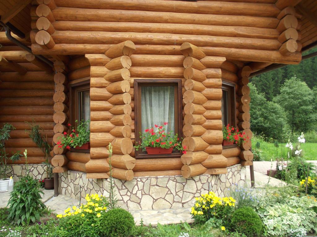 Cabana Piatra Runcului Vatra Moldoviţei 외부 사진