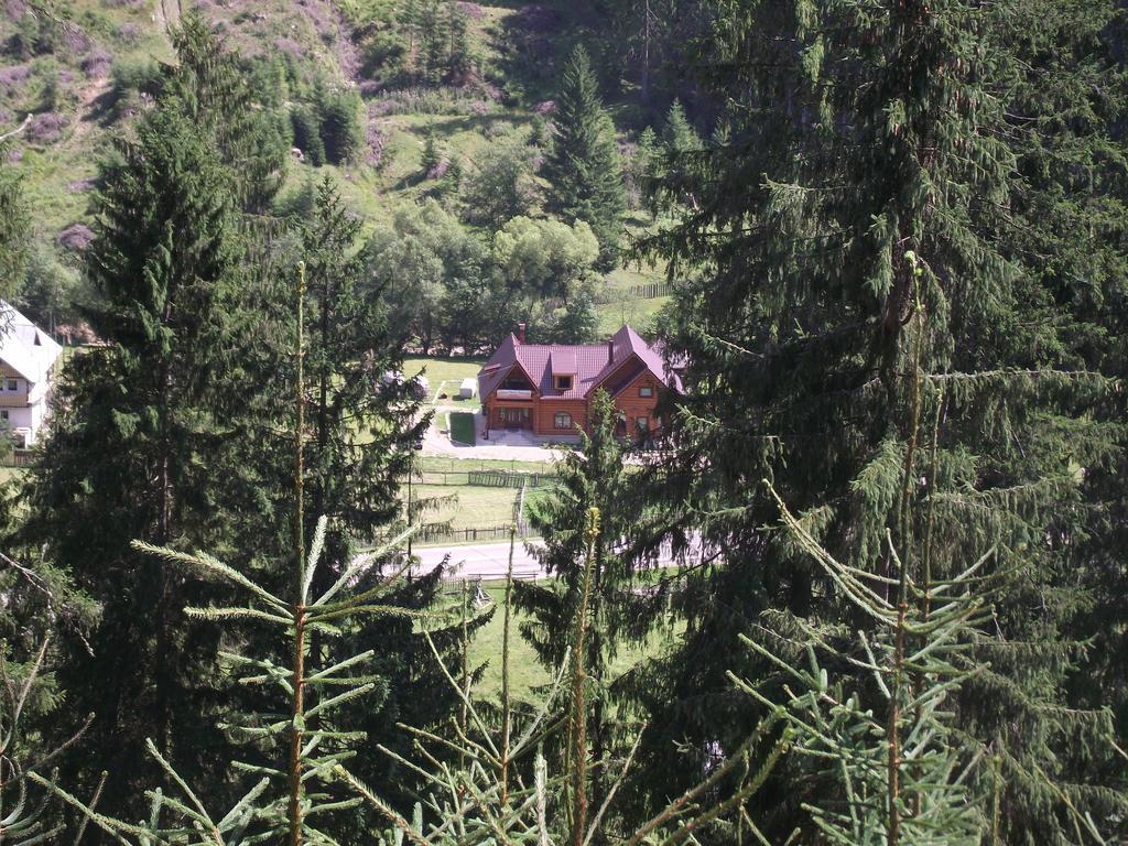 Cabana Piatra Runcului Vatra Moldoviţei 외부 사진